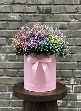 Цветочная композиция из Гипсофила и Розы в шляпной коробке #REPLACE_PRED# Светогорске