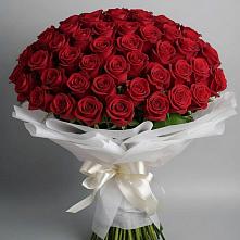Букет 101 Красная роза Блэк Мэджик в Светогорске