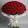 Букет 101 Красная роза Блэк Мэджик в Светогорске