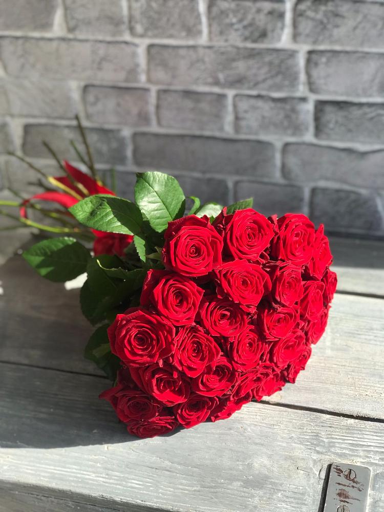 Букет Красные розы Фридом в Светогорске