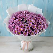 Букет цветов из:  Хризантемы в Светогорске