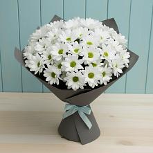 Букет цветов из:  Хризантемы в Светогорске
