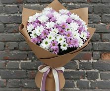 Букет цветов из:  Хризантемы в Светогорске