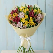 Букет цветов из:  Альстромерии в Светогорске