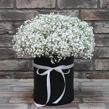 Цветочная композиция из Гипсофила в шляпной коробке в Светогорске