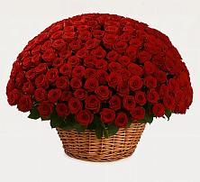 Премиум букет из: Розы в Светогорске